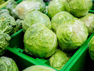 cabbage in a box. Green big young organic vegetables