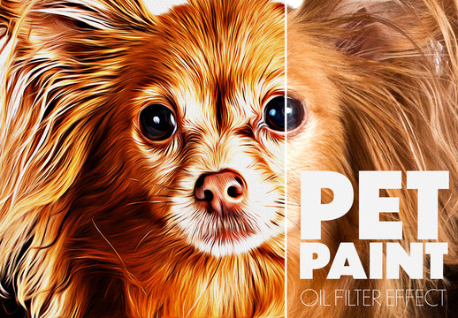 Pet Paint Effect