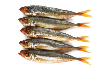 smoked horse mackerel isolated on a white background
