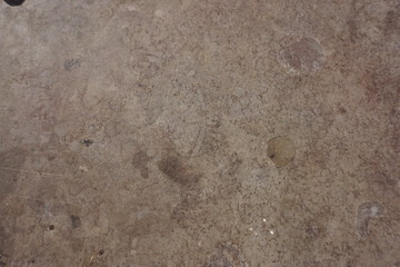 footprint on sand