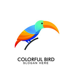 creative colorful bird logo design