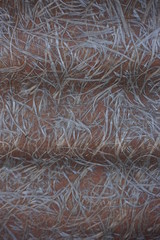 brown texture