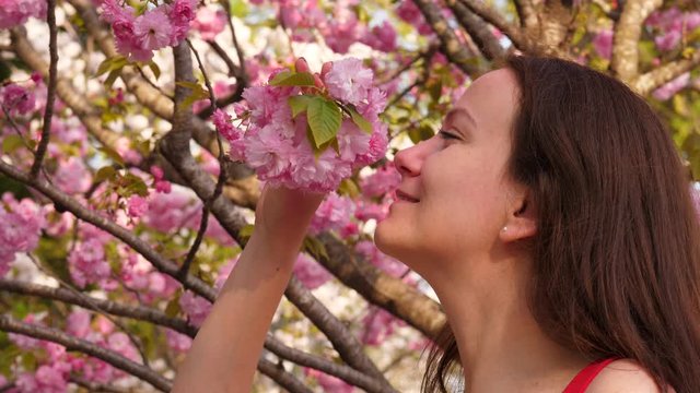 Tourist woman close eyes and enjoy tender scent of cherry tree in blossom, close portrait shot. Light pink double flowers of Kanzan sakura. Famous hanami time celebration at Japan