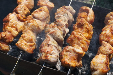 meat on the grill. Shick kebab on the grill