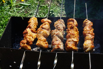 meat on the grill. Shick kebab on the grill