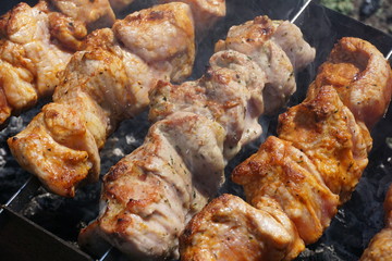 meat on the grill. Shick kebab on the grill