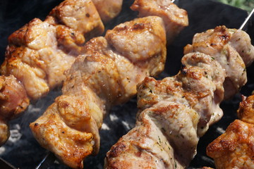 meat on the grill. Shick kebab on the grill