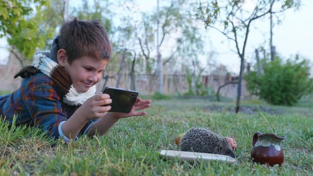 carefree childhood, cheerful boy with scarf and phone photographs little hedgehog near bowl of milk on smartphone camera, having fun in meadow during weekend outdoors