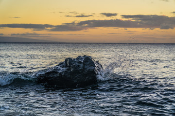 Naklejka premium Hawiian ocean sunset with big rock