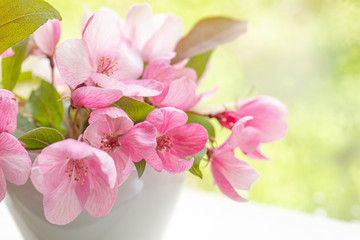 Pink flowers of decorative apple tree in a small white vase on a windowsill. Image for design postcards, calendar, book cover. Close-up