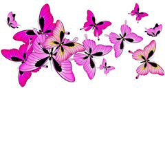butterfly589