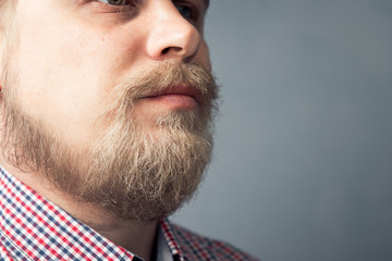 Fototapeta premium Close-up portrait of a young man with a blond beard. Scandinavian wild beard.