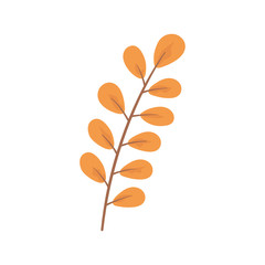 branch leaves foliage botanical isolated icon white background