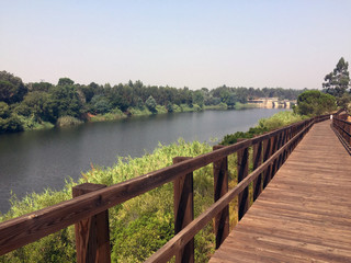 Obraz premium wooden footbridge in perspective on the river bank