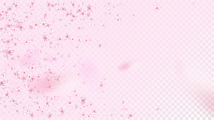 Nice Sakura Blossom Isolated Vector. Realistic Blowing 3d Petals Wedding Pattern. Japanese Nature Flowers Wallpaper. Valentine, Mother's Day Tender Nice Sakura Blossom Isolated on Rose