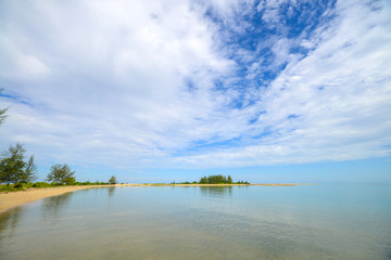 Tropical sea beach with pine tree with beautiful seascape