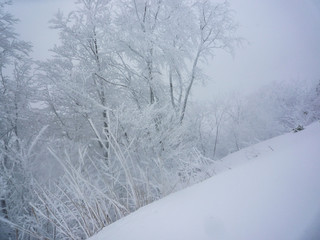 吹雪が吹くスキー場のゲレンデのイメージ