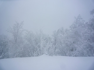 吹雪が吹くスキー場のゲレンデのイメージ