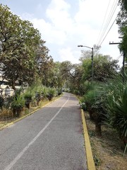 Paso peatonal 