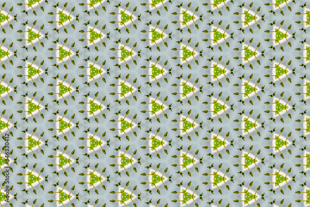 Poster the background image has beautiful lotus patterns.