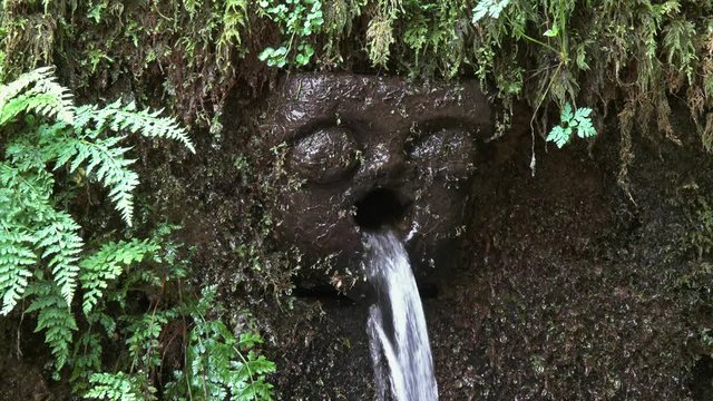 Fountain in mysterious forest of Bussaco, Coimbra, Portugal, 4k
