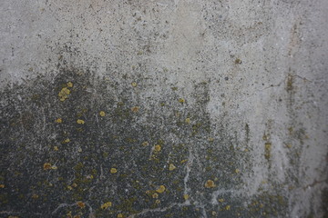 concrete wall background
