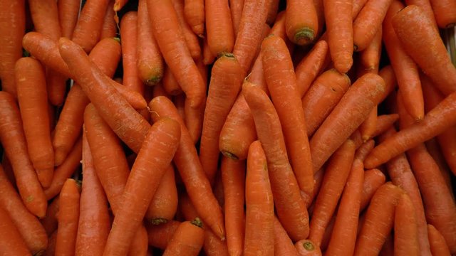 Zanahorias para consumo inmediato. Paneo a velocidad lenta hacia arriba