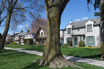 Street of large traditional detached homes with front yards and large mature trees