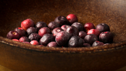 Grewia asiatica (Falsa or Phalsa) fruit in wooden pot