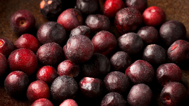 Grewia asiatica (Falsa or Phalsa) fruit in wooden pot