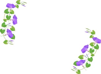 アサガオのフレーム