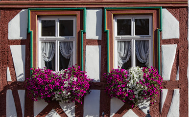 Decorative windows in Bernkastel, Germany accented with colorful petunias