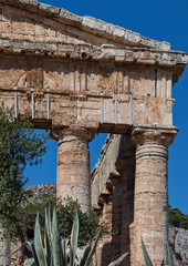 Details of ancient columns of Segesta ruins in Sicily