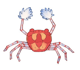 キンチャクガニ　挿絵　イラスト