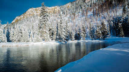 Snowy winter scene of river surrounded by pine trees.