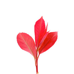 Closeup white bathroom, Interior element, clean and comfort bathrooms concept.
