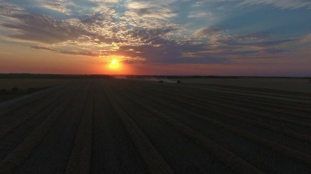 Drone flying towards a combine and a grain cart on a canola field during sunset