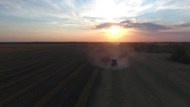 Drone flying towards a dusty combine on a canola field during sunset