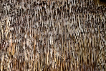 An intimate view of the traditional thatched roofs in a rural village. The thatched roofs can be sun-protected from the rain. And good ventilation. Old hay or dry grass background
