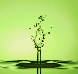 Water Drop Collisions Macro Photography with green background