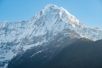 Beautiful view of Mt.Hiunchuli (6,441 metres) view from Chomrong village on the way to Annapurna...