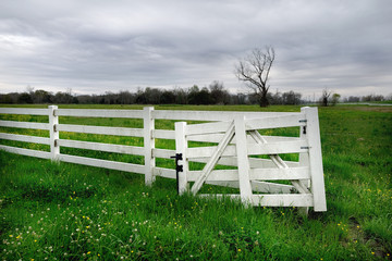 white farm fence with lone tree