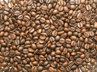roasted coffee bean background, top view
