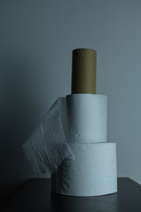 rollos de papel apilados higiénico gastados 