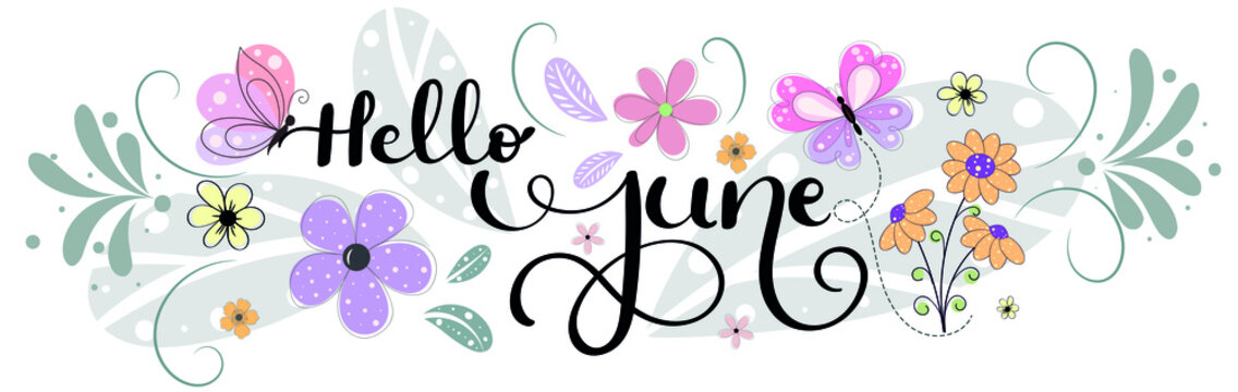 Hello June. JUNE month vector with flowers, butterflies and leaves. Decoration floral. Illustration month June