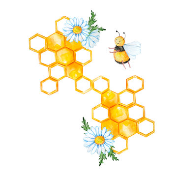 bee with honeycombs and chamomiles