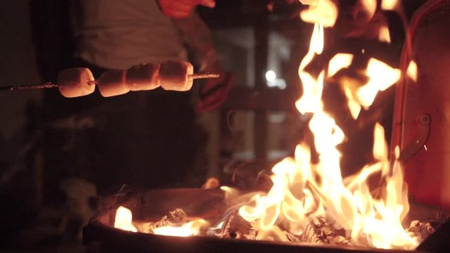 Friends Roasting Marshmallows over a open fire on a camping trip