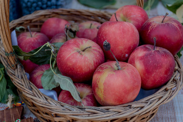 Healthy Organic red Apples in the Basket in a market during food festival.