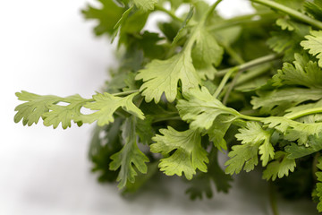 Fototapeta na wymiar Close up fresh Coriander green leaves isolate on white background.