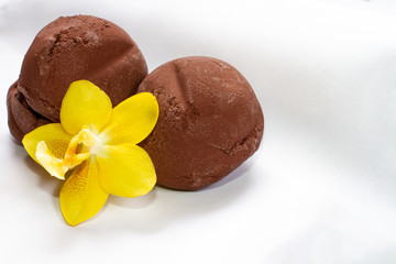 chocolate frosted and orchid flower